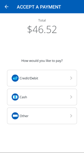 Screenshot of the payment options: credit/debit, cash or other