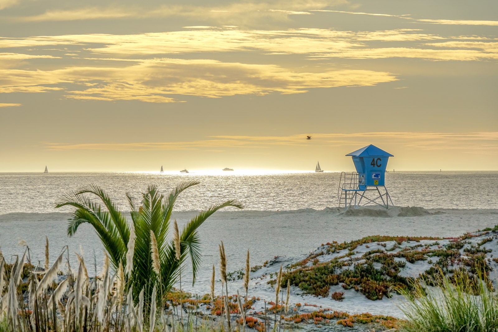 A lifeguard hut on a beach in San Diego, California.