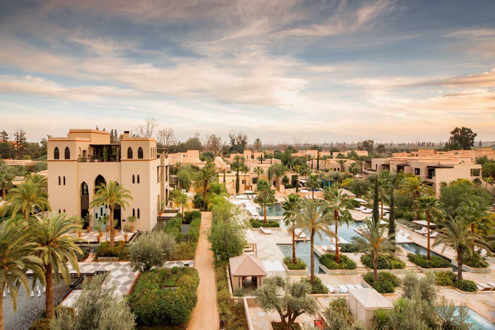 Aerial view of garden with palm trees